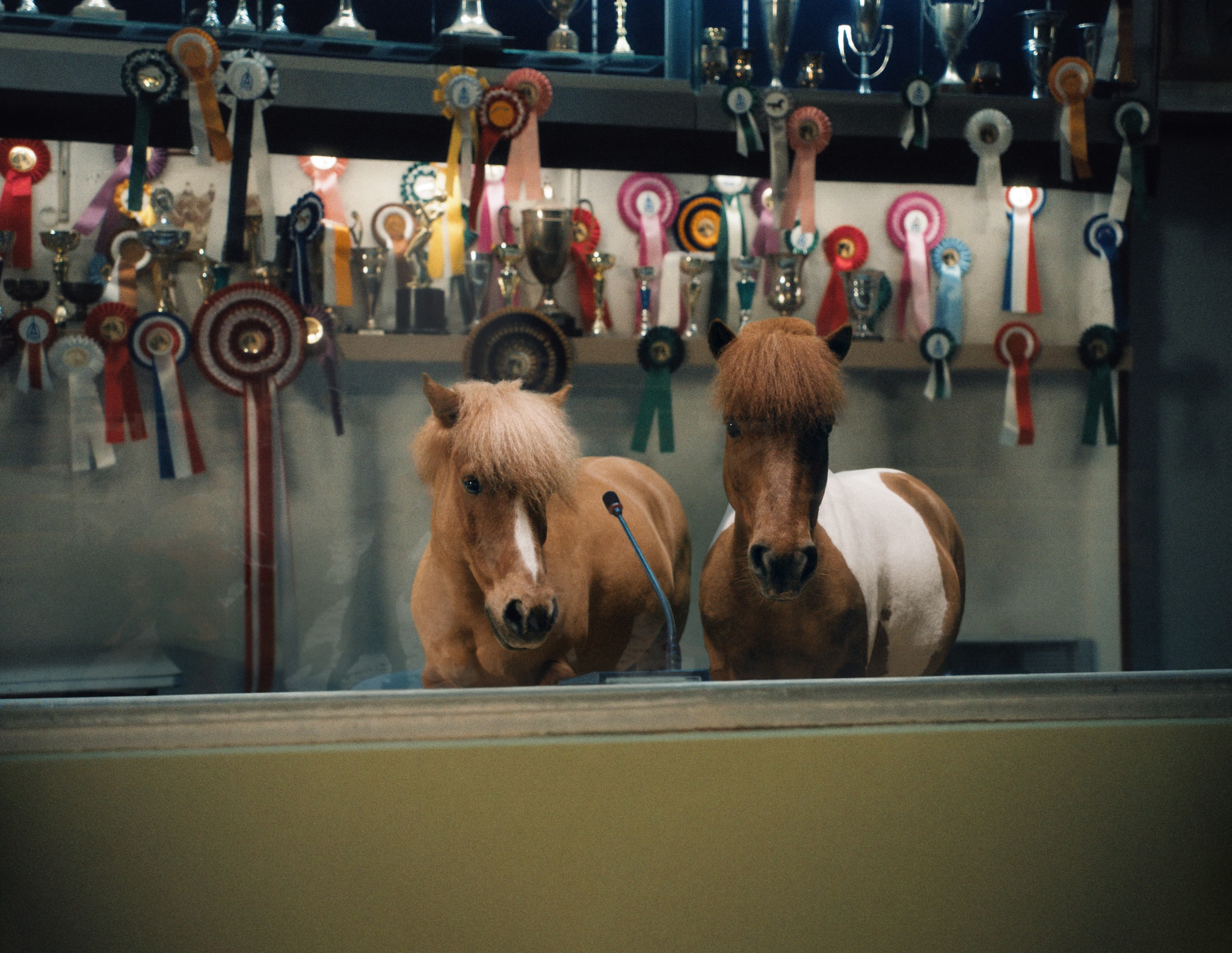 Pony Dance Hermès Charlotte Wales 2025